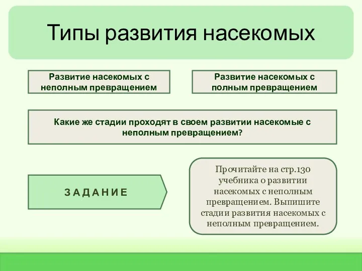 Типы развития насекомых Развитие насекомых с неполным превращением Развитие насекомых с полным превращением