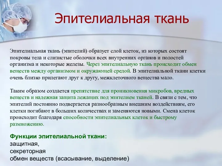 Эпителиальная ткань Функции эпителиальной ткани: защитная, секреторная обмен веществ (всасывание,