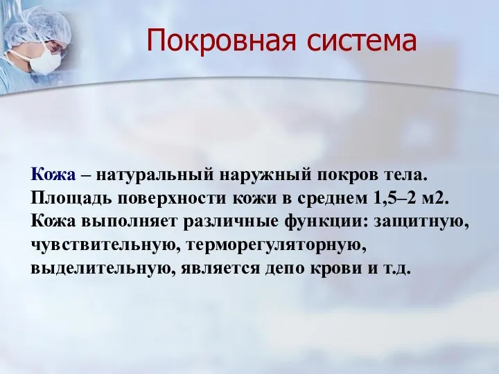 Кожа – натуральный наружный покров тела. Площадь поверхности кожи в