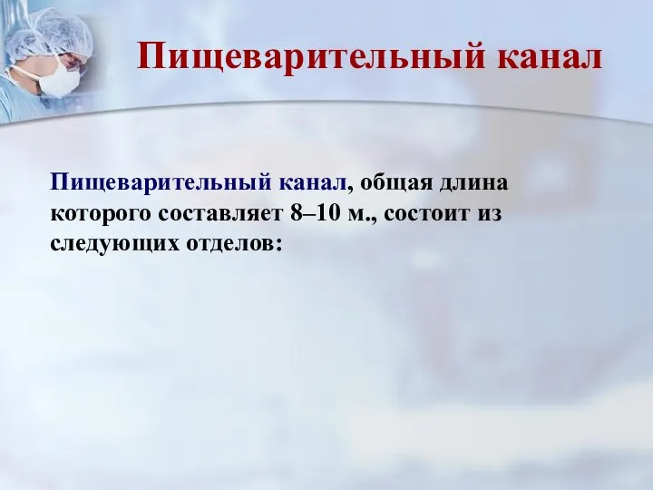 Пищеварительный канал, общая длина которого составляет 8–10 м., состоит из следующих отделов: Пищеварительный канал