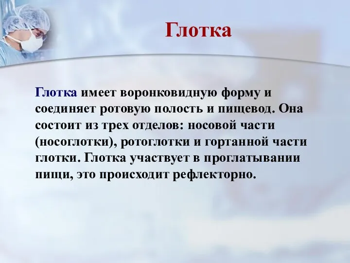 Глотка имеет воронковидную форму и соединяет ротовую полость и пищевод.