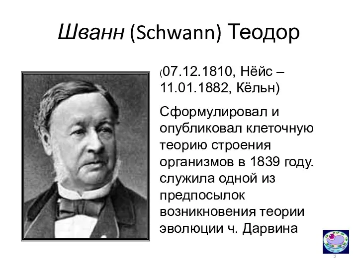 Шванн (Schwann) Теодор (07.12.1810, Нёйс – 11.01.1882, Кёльн) Сформулировал и опубликовал клеточную теорию