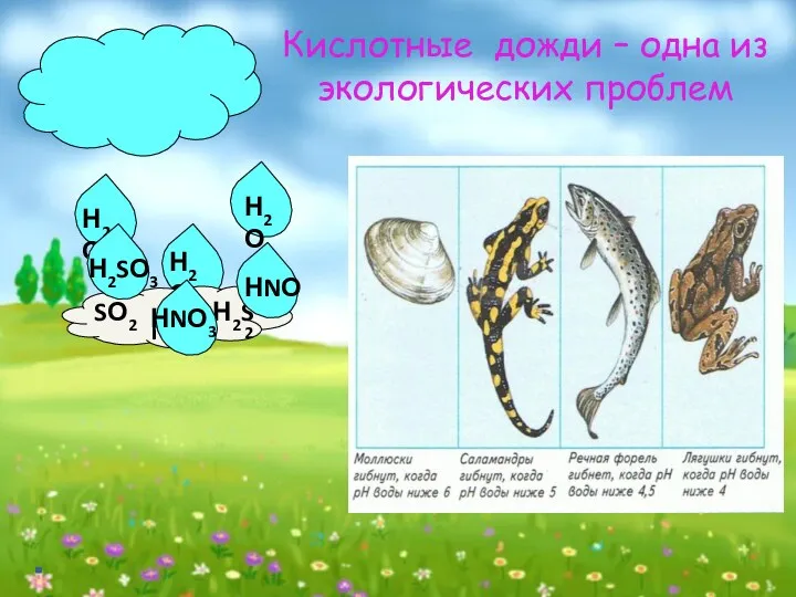 Кислотные дожди – одна из экологических проблем Н2О Н2О Н2О NО2 SО2 Н2S Н2SО3 НNО3 НNО2