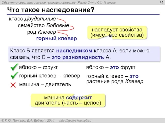 Что такое наследование? класс Двудольные семейство Бобовые род Клевер горный