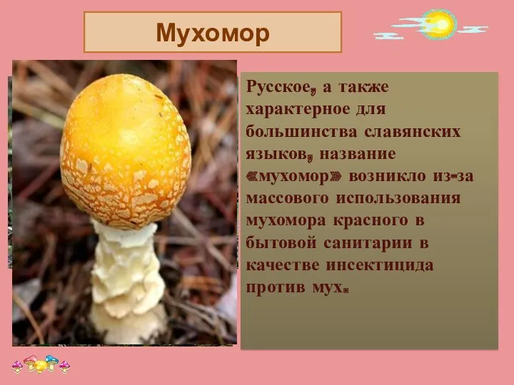 Русское, а также характерное для большинства славянских языков, название «мухомор»