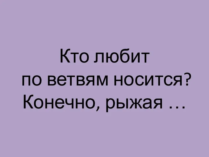 Кто любит по ветвям носится? Конечно, рыжая …