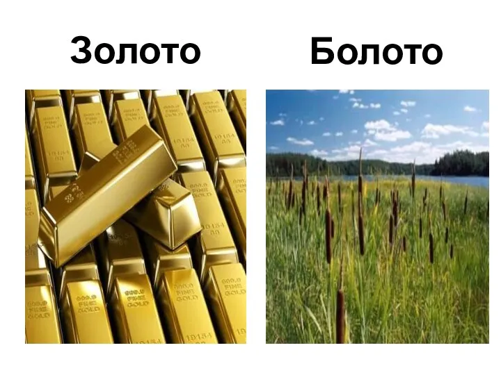 Золото Болото