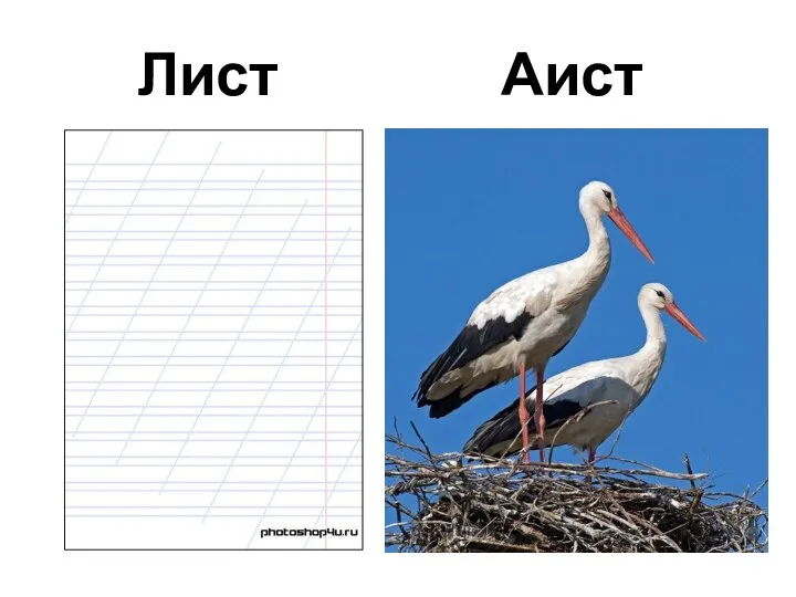 Лист Аист