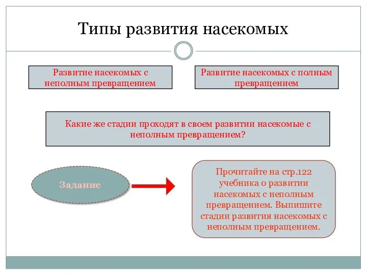 Типы развития насекомых Развитие насекомых с неполным превращением Развитие насекомых с полным превращением