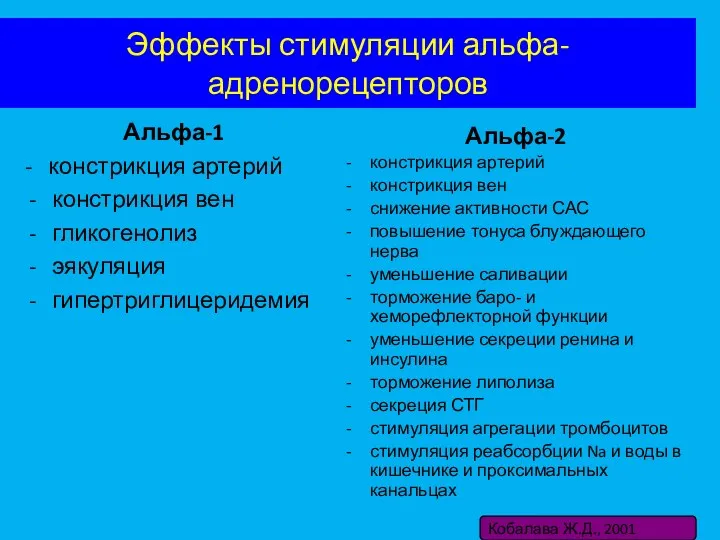 Эффекты стимуляции альфа-адренорецепторов Альфа-1 - констрикция артерий констрикция вен гликогенолиз