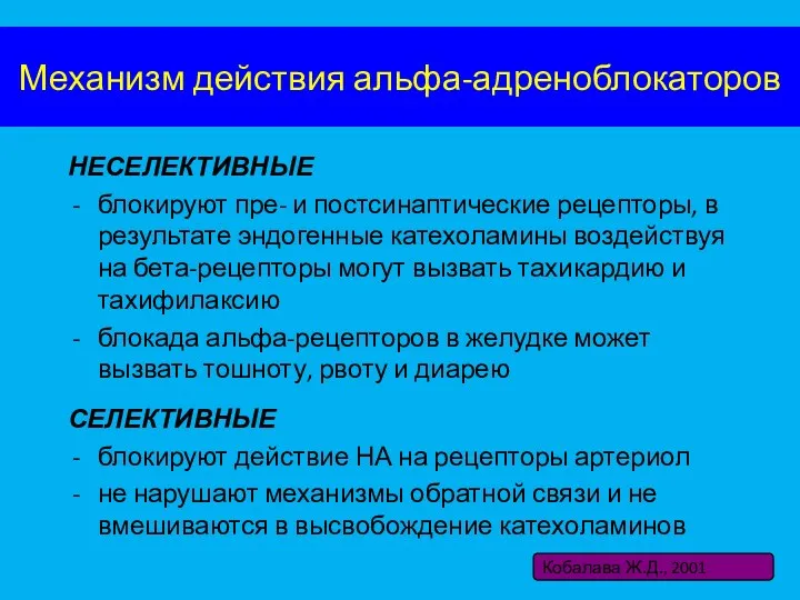 Механизм действия альфа-адреноблокаторов НЕСЕЛЕКТИВНЫЕ блокируют пре- и постсинаптические рецепторы, в