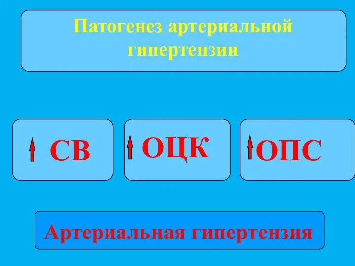 Патогенез артериальной гипертензии СВ ОЦК ОПС Артериальная гипертензия