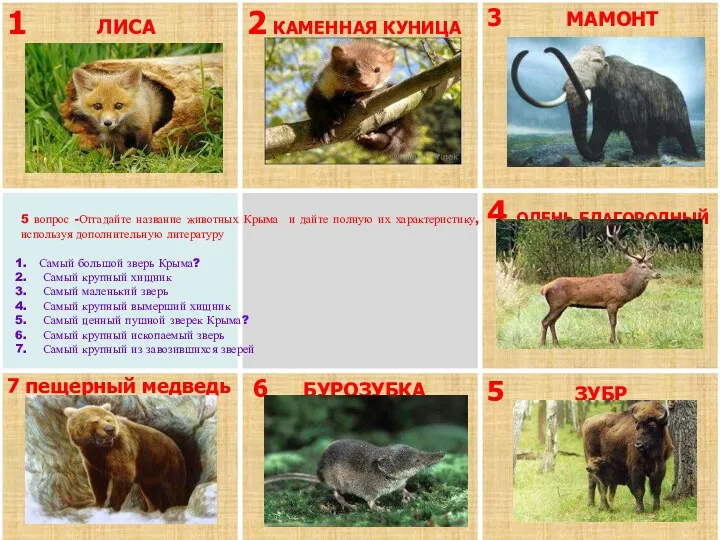 5 вопрос -Отгадайте название животных Крыма и дайте полную их