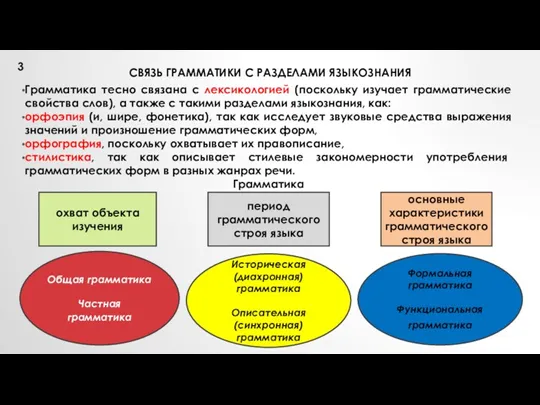 СВЯЗЬ ГРАММАТИКИ С РАЗДЕЛАМИ ЯЗЫКОЗНАНИЯ Грамматика тесно связана с лексикологией