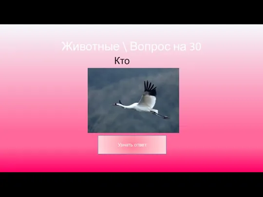 Животные \ Вопрос на 30 Кто это?