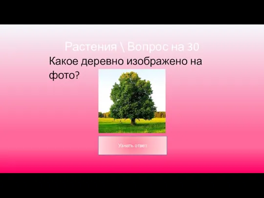 Растения \ Вопрос на 30 Какое деревно изображено на фото?