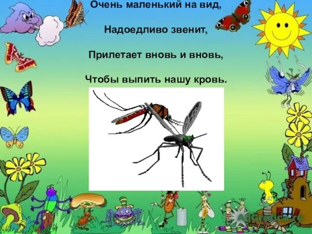 Очень маленький на вид, Надоедливо звенит, Прилетает вновь и вновь, Чтобы выпить нашу кровь.