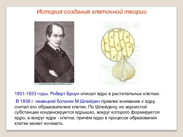 1831-1833 годы. Роберт Броун описал ядро в растительных клетках. В