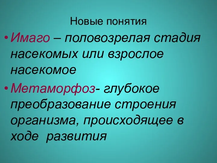 Новые понятия Имаго – половозрелая стадия насекомых или взрослое насекомое