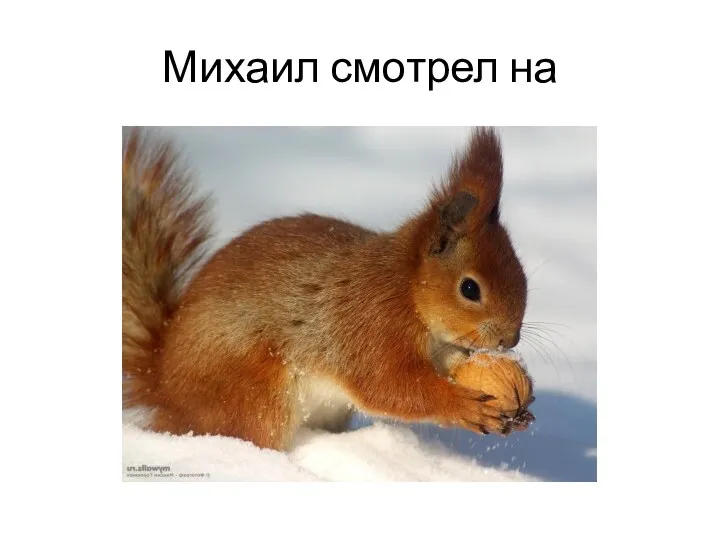 Михаил смотрел на