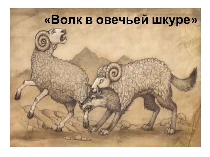 «Волк в овечьей шкуре»