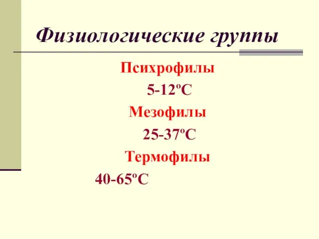 Физиологические группы Психрофилы 5-12ºС Мезофилы 25-37ºС Термофилы 40-65ºС