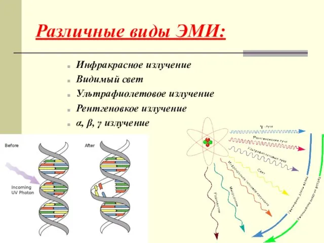 Различные виды ЭМИ: Инфракрасное излучение Видимый свет Ультрафиолетовое излучение Рентгеновкое излучение α, β, γ излучение