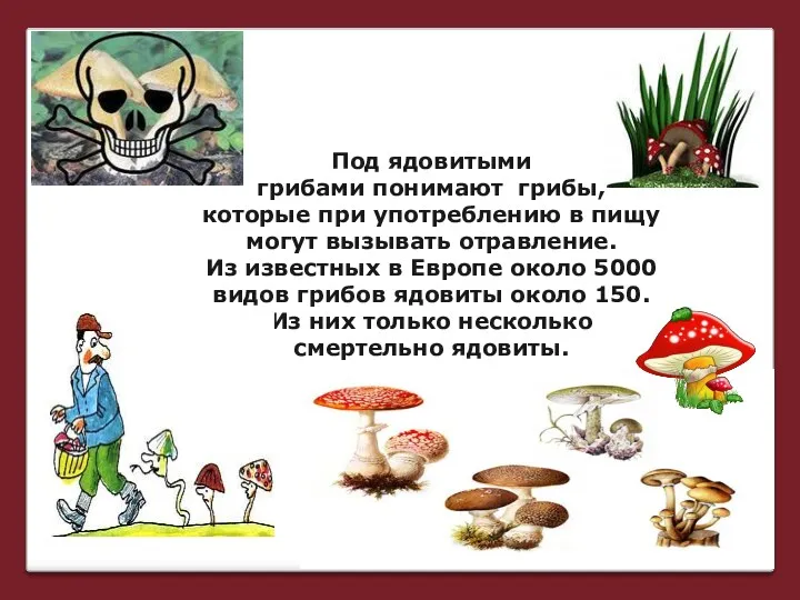 Под ядовитыми грибами понимают грибы, которые при употреблению в пищу