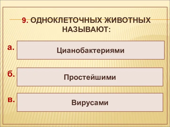 9. ОДНОКЛЕТОЧНЫХ ЖИВОТНЫХ НАЗЫВАЮТ: Цианобактериями Простейшими Вирусами а. б. в.