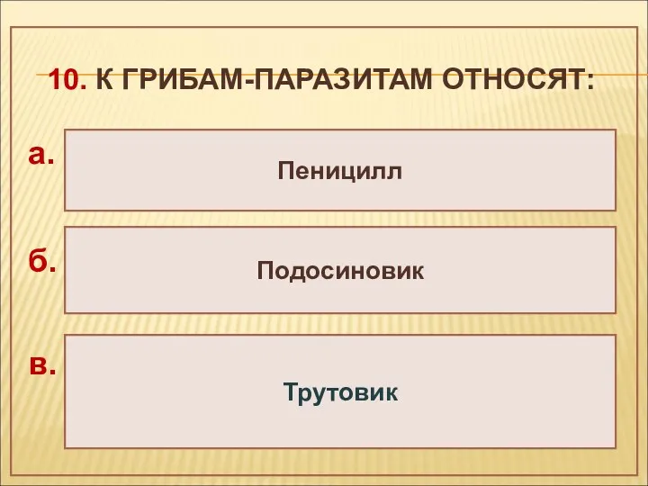 10. К ГРИБАМ-ПАРАЗИТАМ ОТНОСЯТ: Пеницилл Подосиновик Трутовик а. б. в.