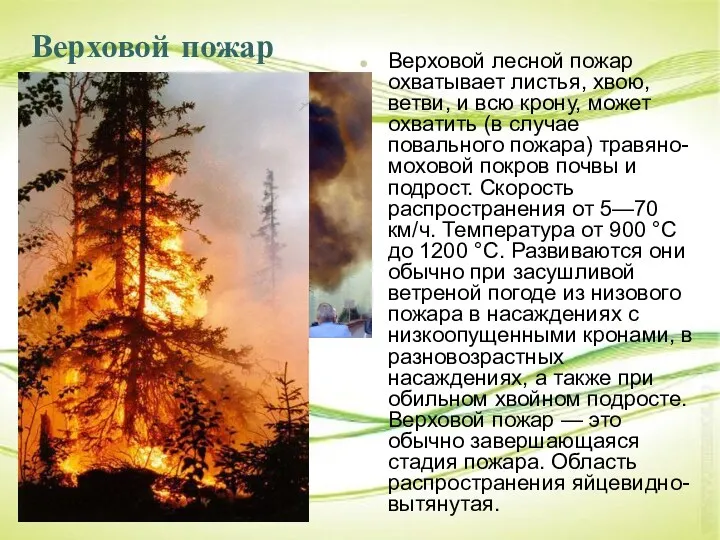 Верховой пожар Верховой лесной пожар охватывает листья, хвою, ветви, и