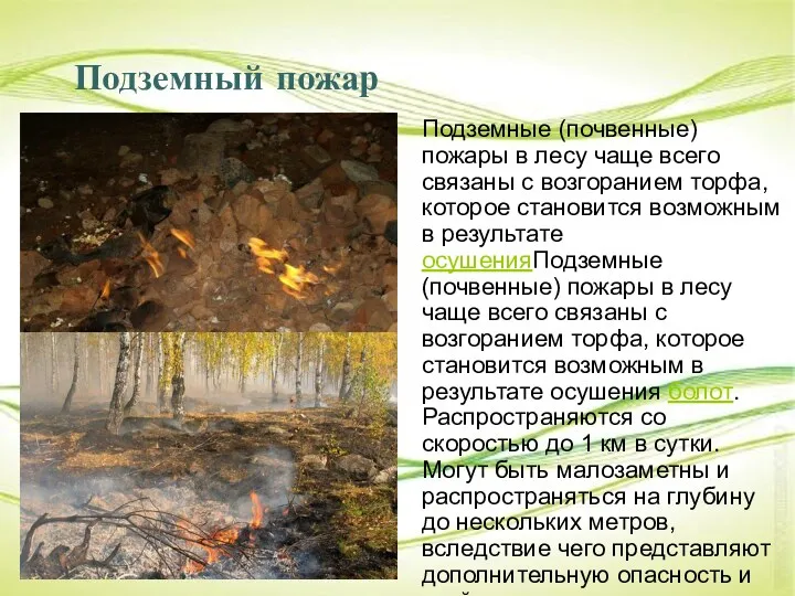 Подземный пожар Подземные (почвенные) пожары в лесу чаще всего связаны