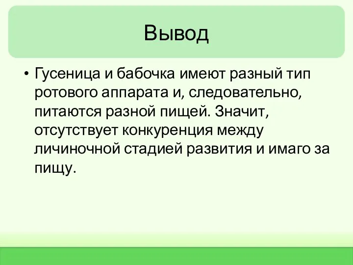 Вывод Гусеница и бабочка имеют разный тип ротового аппарата и,