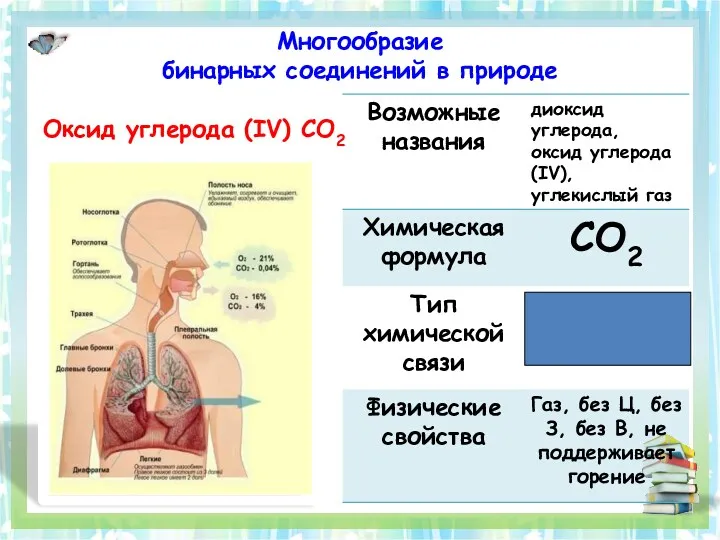 Многообразие бинарных соединений в природе Оксид углерода (IV) CO2