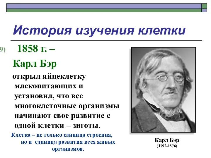 История изучения клетки 1858 г. – Карл Бэр открыл яйцеклетку