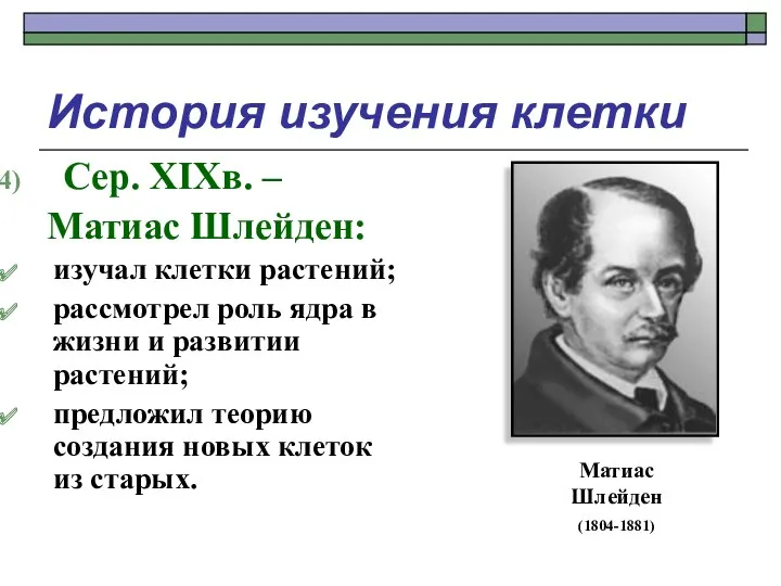 История изучения клетки Сер. XIXв. – Матиас Шлейден: изучал клетки