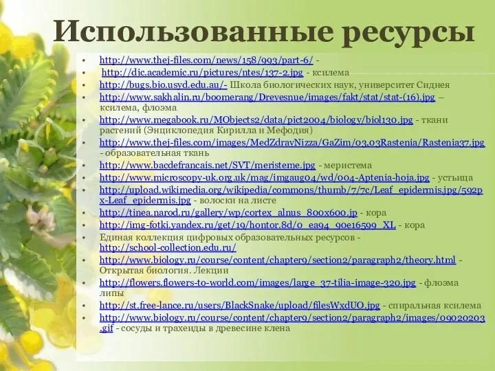 http://www.thej-files.com/news/158/993/part-6/ - http://dic.academic.ru/pictures/ntes/137-2.jpg - ксилема http://bugs.bio.usyd.edu.au/- Школа биологических наук, университет