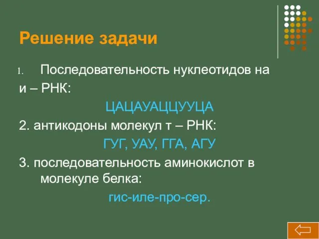 Решение задачи Последовательность нуклеотидов на и – РНК: ЦАЦАУАЦЦУУЦА 2. антикодоны молекул т