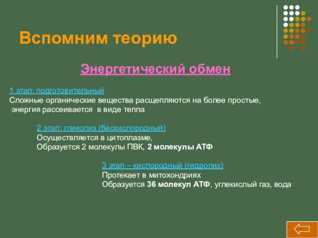 Вспомним теорию Энергетический обмен 1 этап: подготовительный Сложные органические вещества