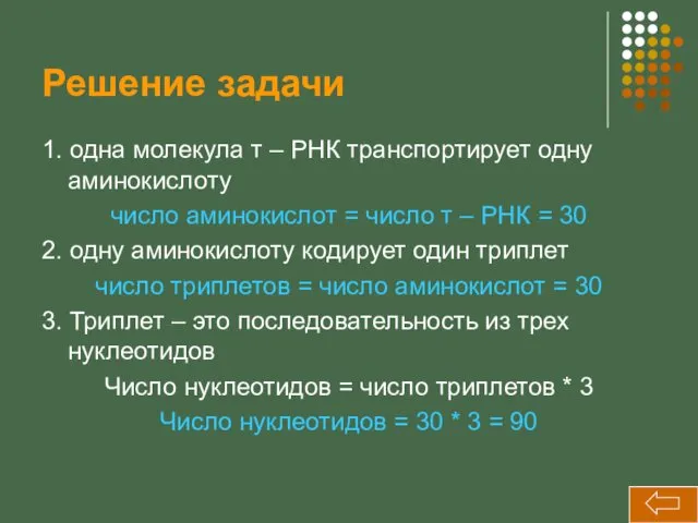 Решение задачи 1. одна молекула т – РНК транспортирует одну аминокислоту число аминокислот