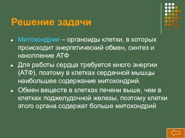 Решение задачи Митохондрии – органоиды клетки, в которых происходит энергетический обмен, синтез и