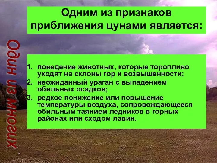 Одним из признаков приближения цунами является: поведение животных, которые торопливо