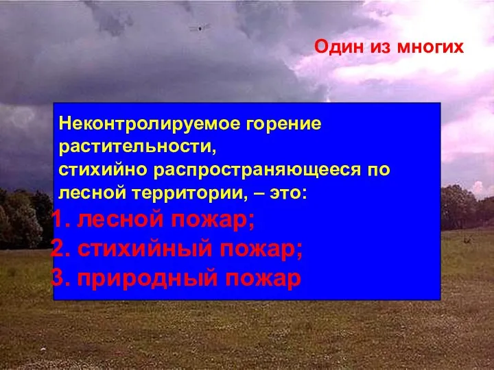 Один из многих Неконтролируемое горение растительности, стихийно распространяющееся по лесной