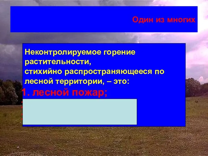 Один из многих Неконтролируемое горение растительности, стихийно распространяющееся по лесной