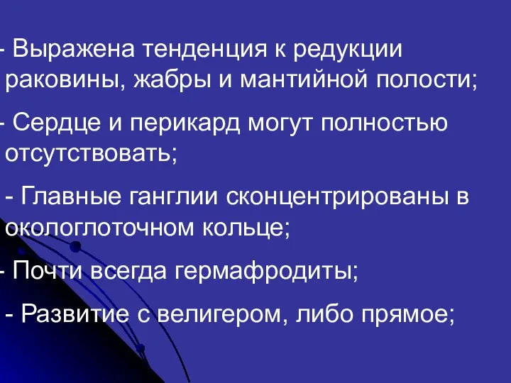 Выражена тенденция к редукции раковины, жабры и мантийной полости; Сердце