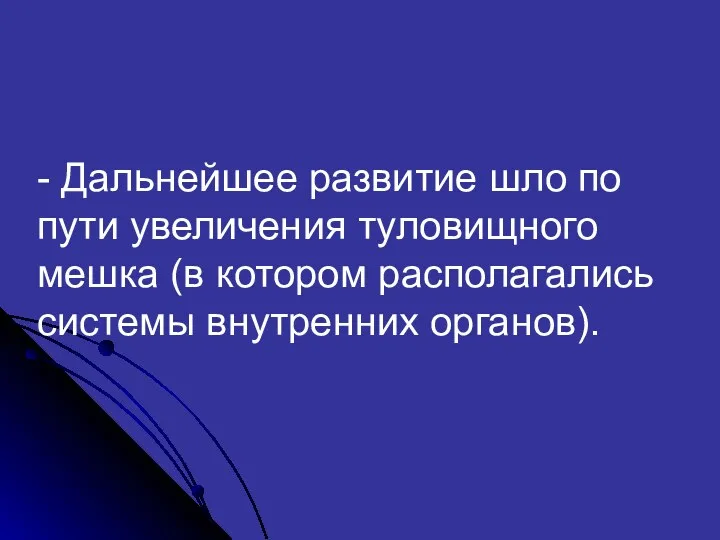 - Дальнейшее развитие шло по пути увеличения туловищного мешка (в котором располагались системы внутренних органов).