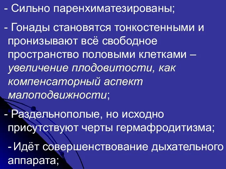 Сильно паренхиматезированы; Гонады становятся тонкостенными и пронизывают всё свободное пространство