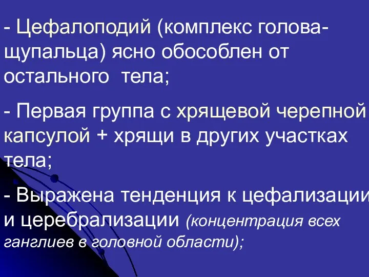 - Цефалоподий (комплекс голова-щупальца) ясно обособлен от остального тела; -