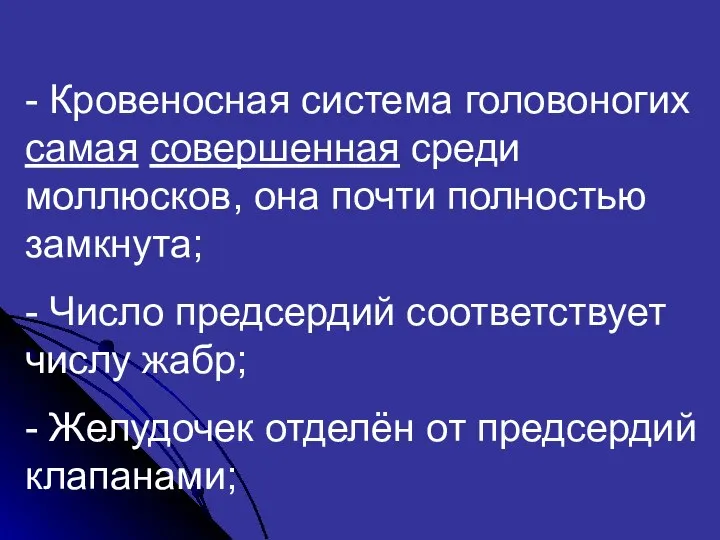 - Кровеносная система головоногих самая совершенная среди моллюсков, она почти