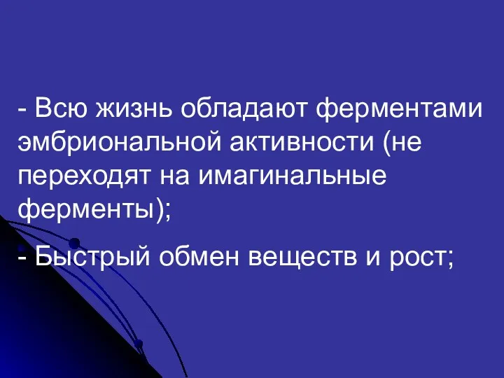 - Всю жизнь обладают ферментами эмбриональной активности (не переходят на